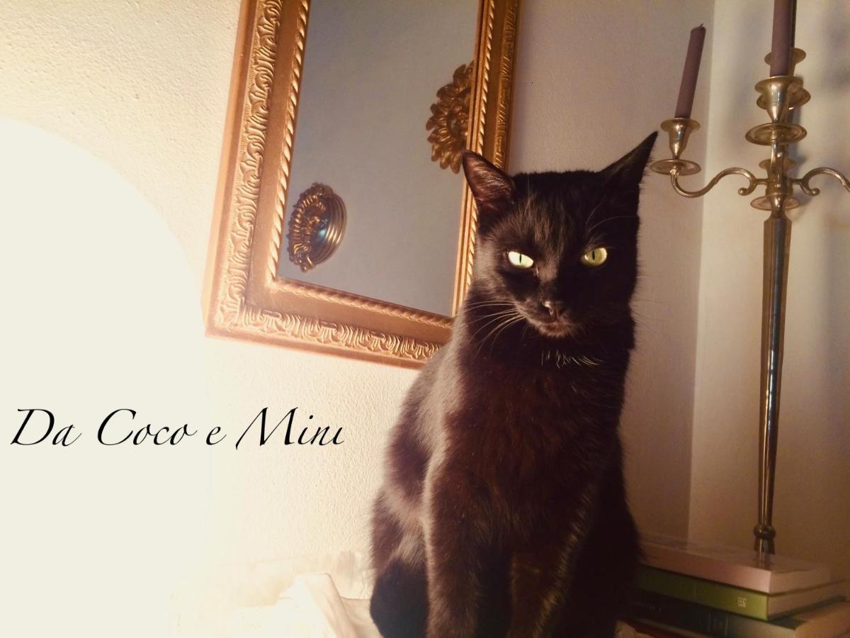 Da Coco E Mini,L'Angolo Per Ceramiste In Viaggio - Faenza Luaran gambar