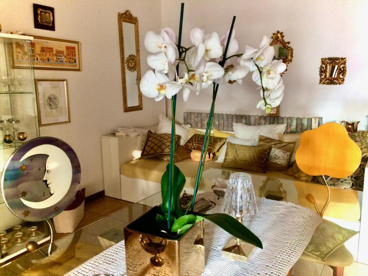 Da Coco E Mini,L'Angolo Per Ceramiste In Viaggio - Faenza Luaran gambar